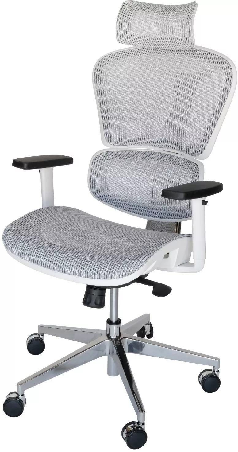 Replica Ergohuman Ergonomic Japanese Mesh Desk / Office Chair IOF