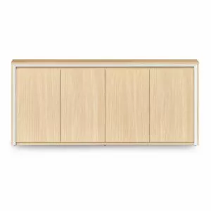 Casa Swing Door Cupboard