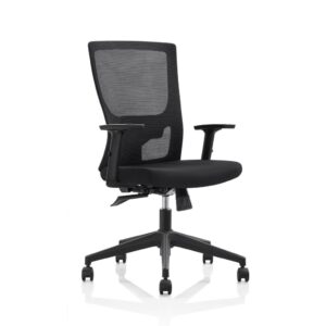 Florida Ergo Executive Chair